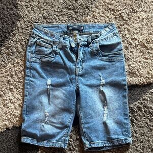 Blue Ridge Distressed Denim Shorts